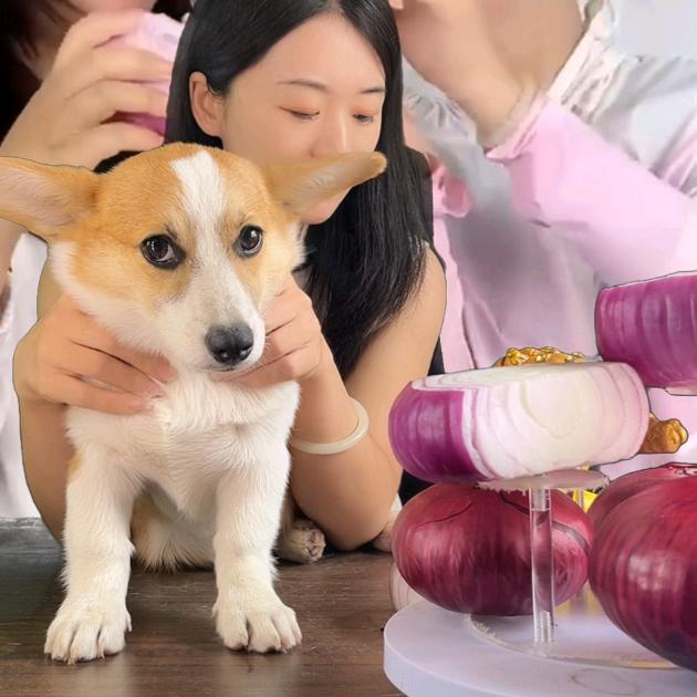 小丰农副产品精选