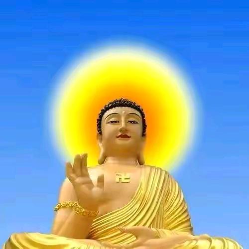 @@寡义@@