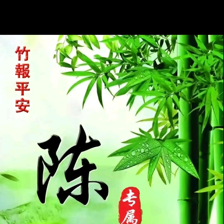 肥西陈哥