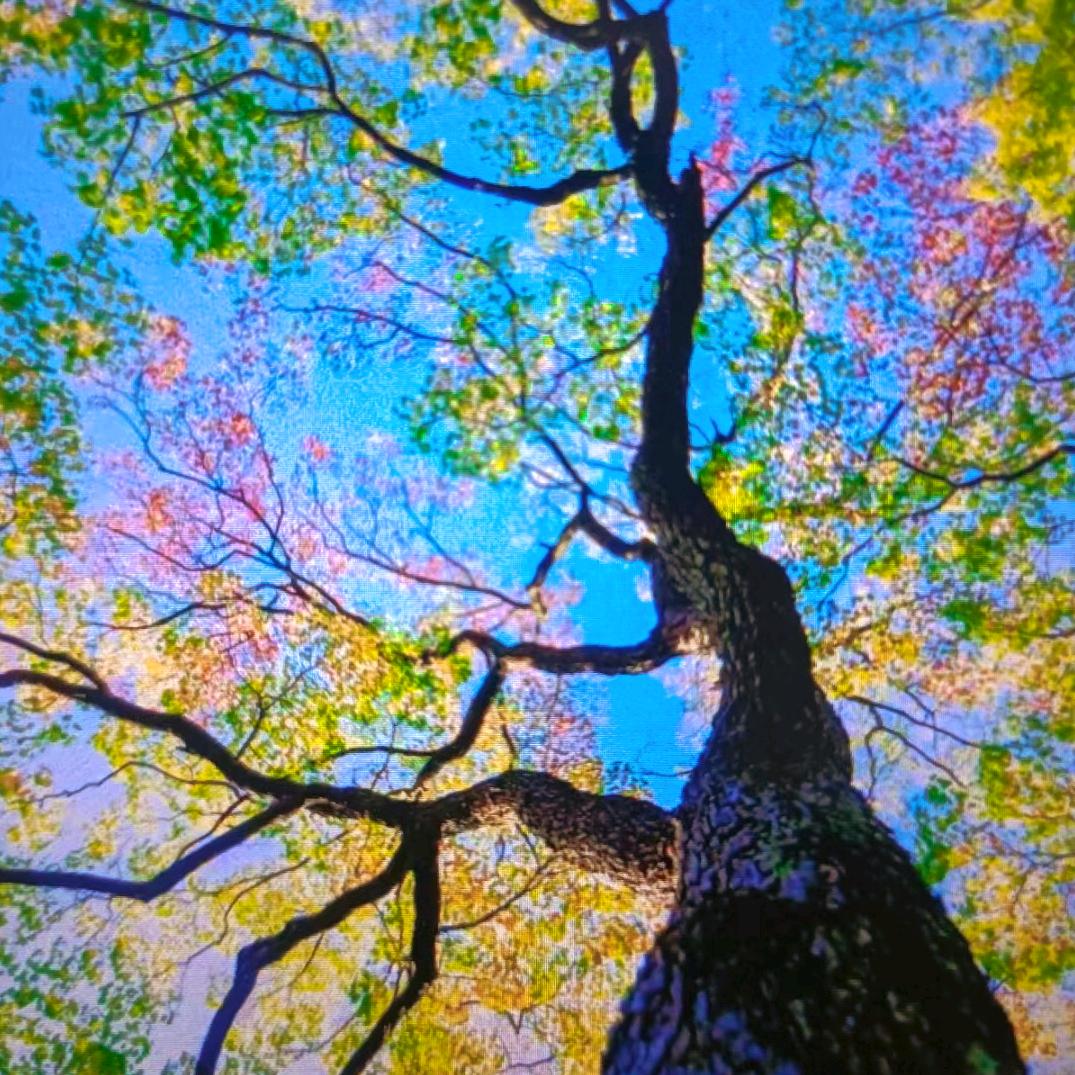 中捷行者瑜伽专业女子塑形工作室