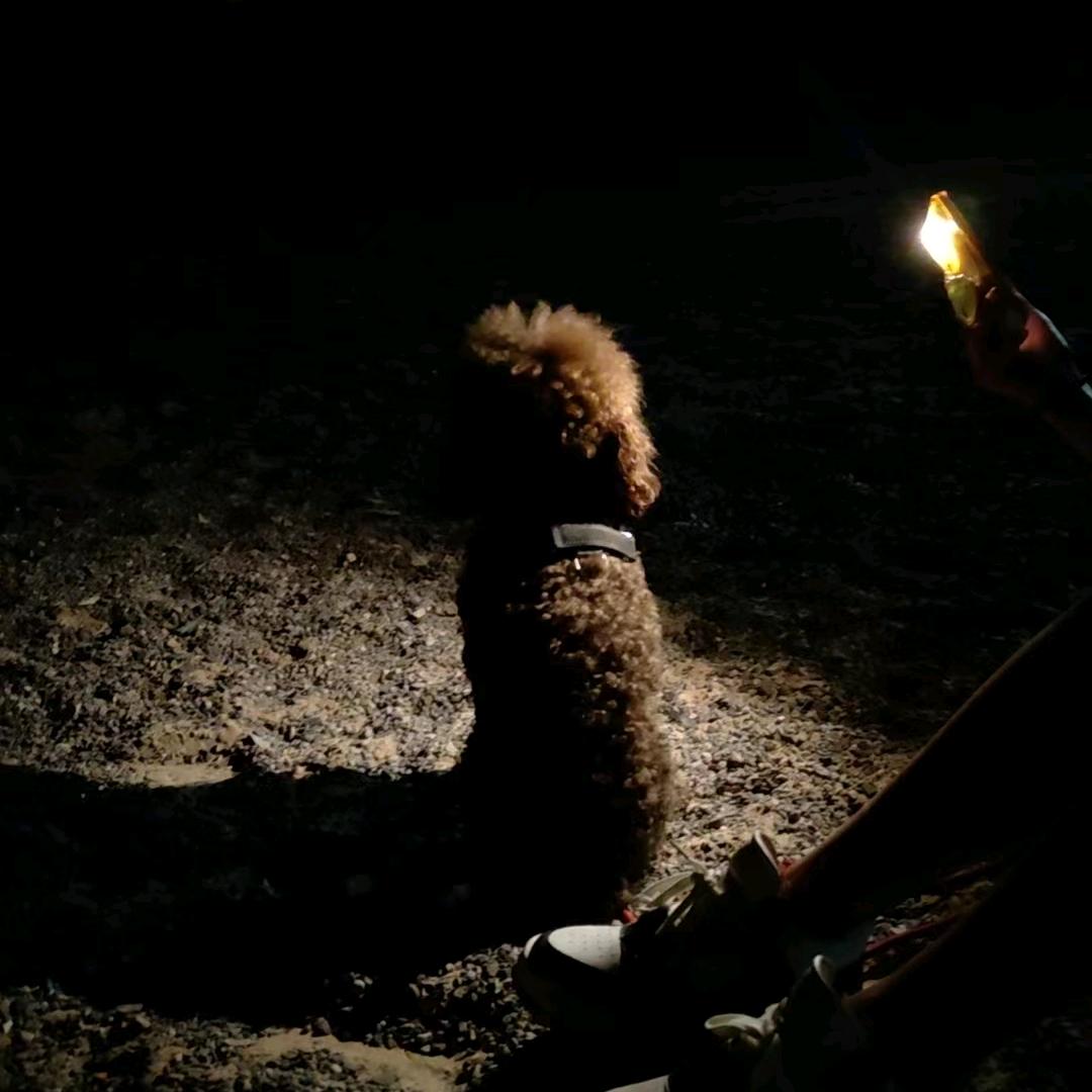 🐲¹⁹₈₈宫℘࿐