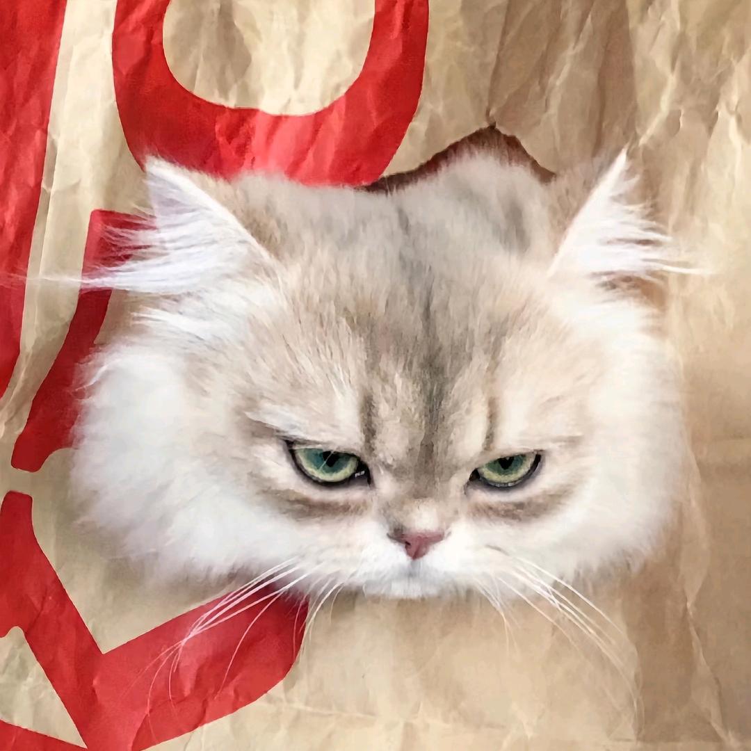 我的宝宝叫"绵绵"