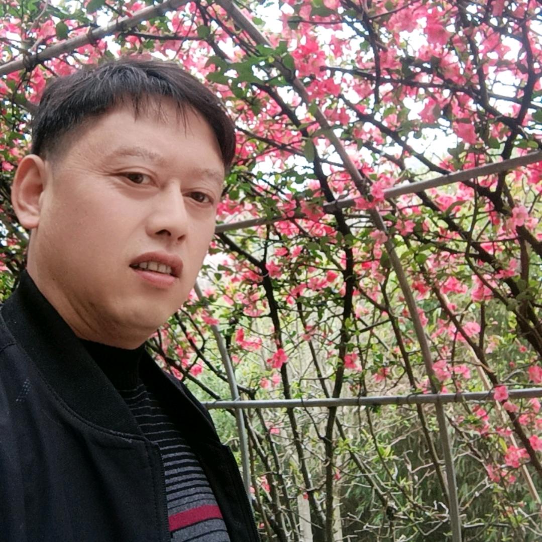 鄂东 陈真