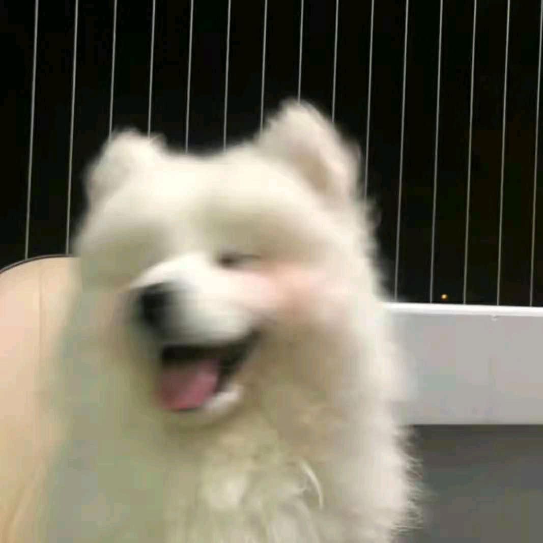 韩宝💗🌈