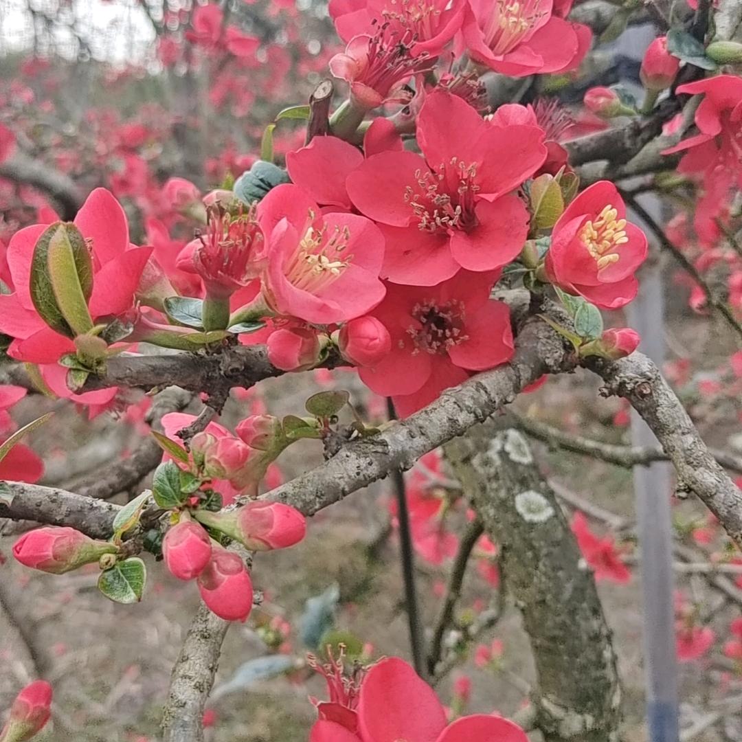 大姐💖💖💖