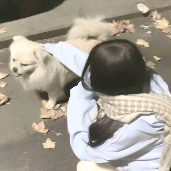 西沉月