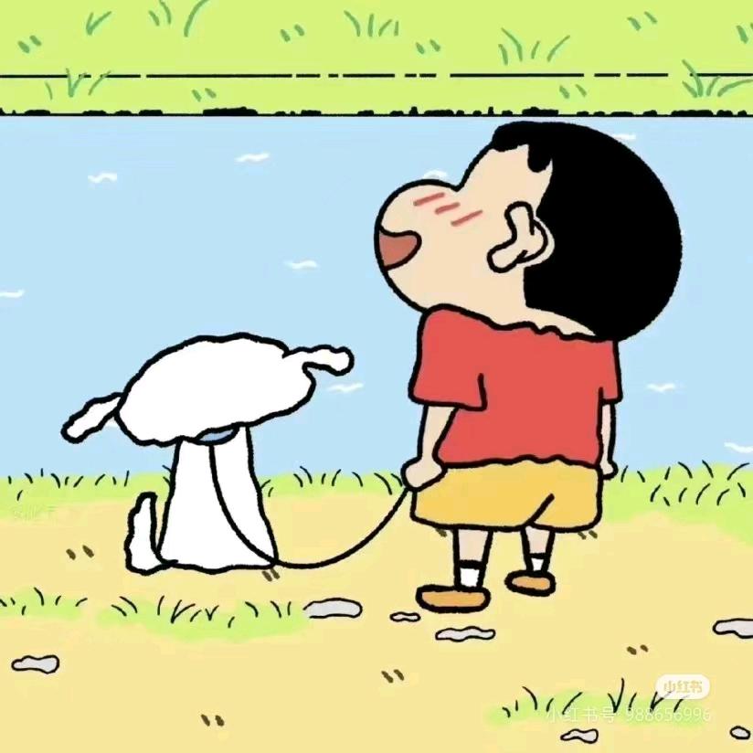 小新没有蜡笔