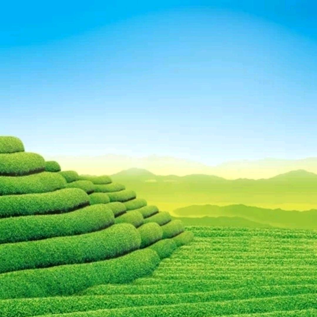 金门故事会