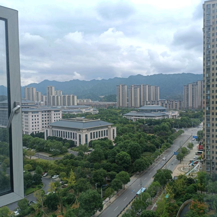 老虎爱钓鱼🤑🤑