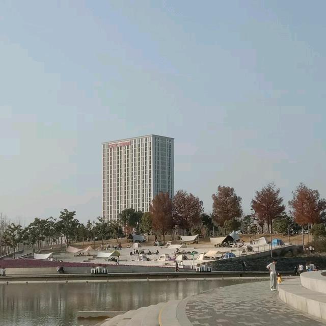 杨老板