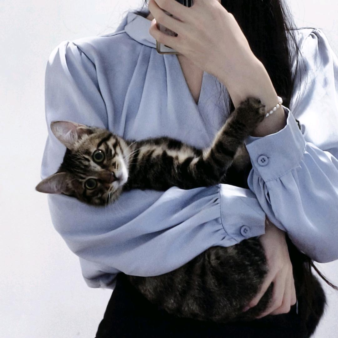 小鹭Lu