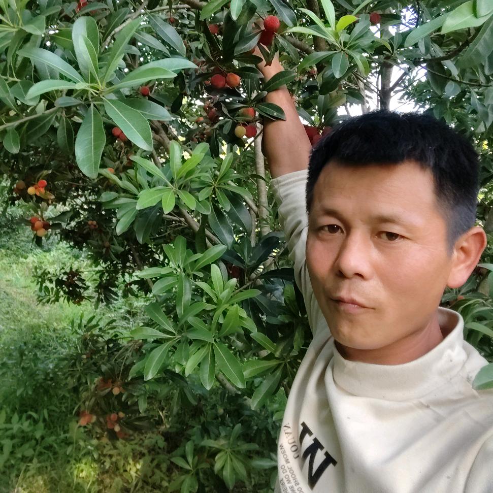 错过缘分错过你