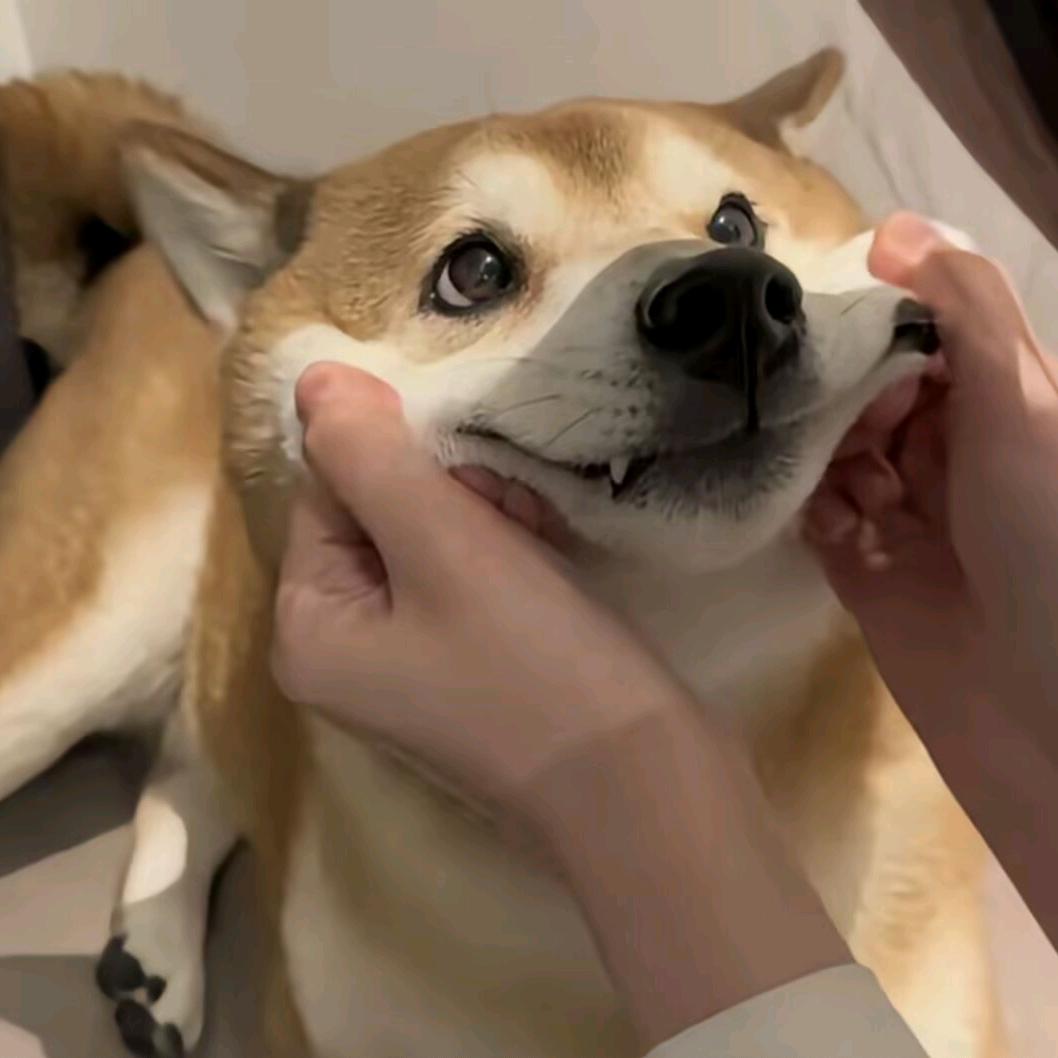 曙光(直播小号)