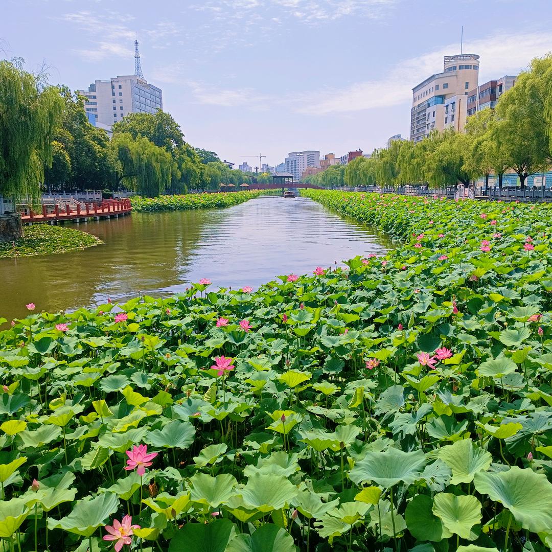 美丽乡村郑庄冬冬