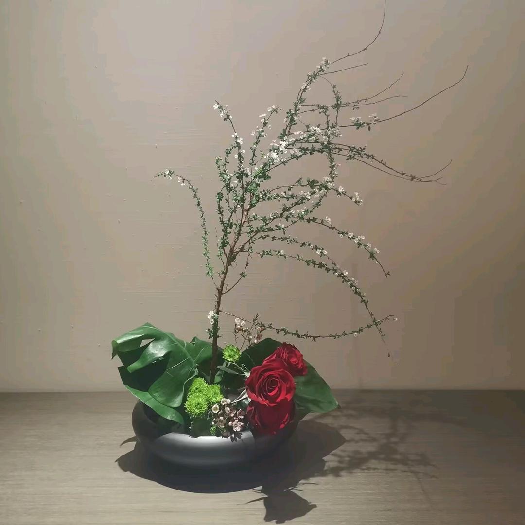 小梨涡🍐