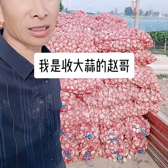 收大蒜赵哥