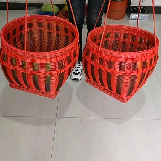 天天乐乐