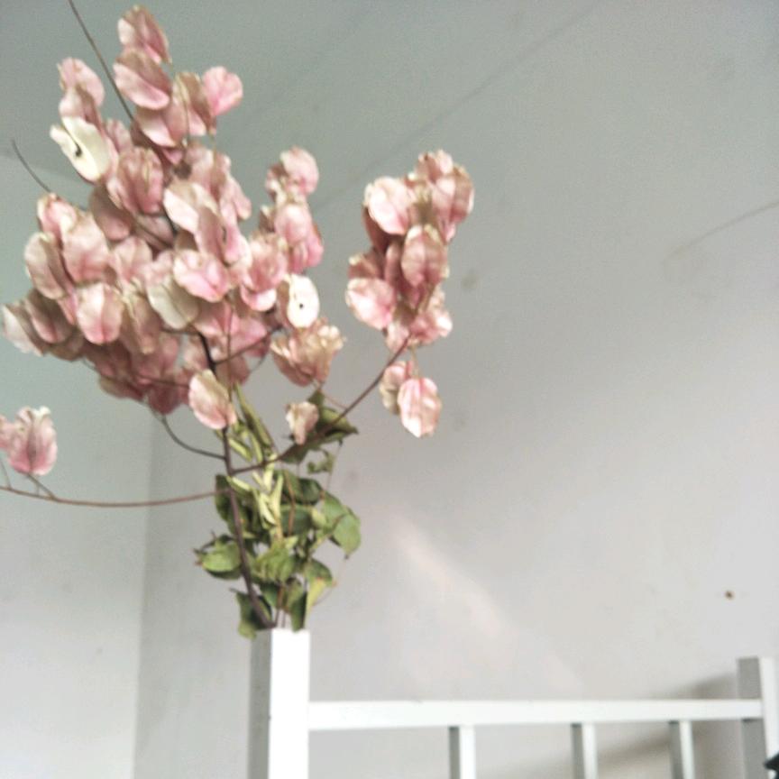 花谢了