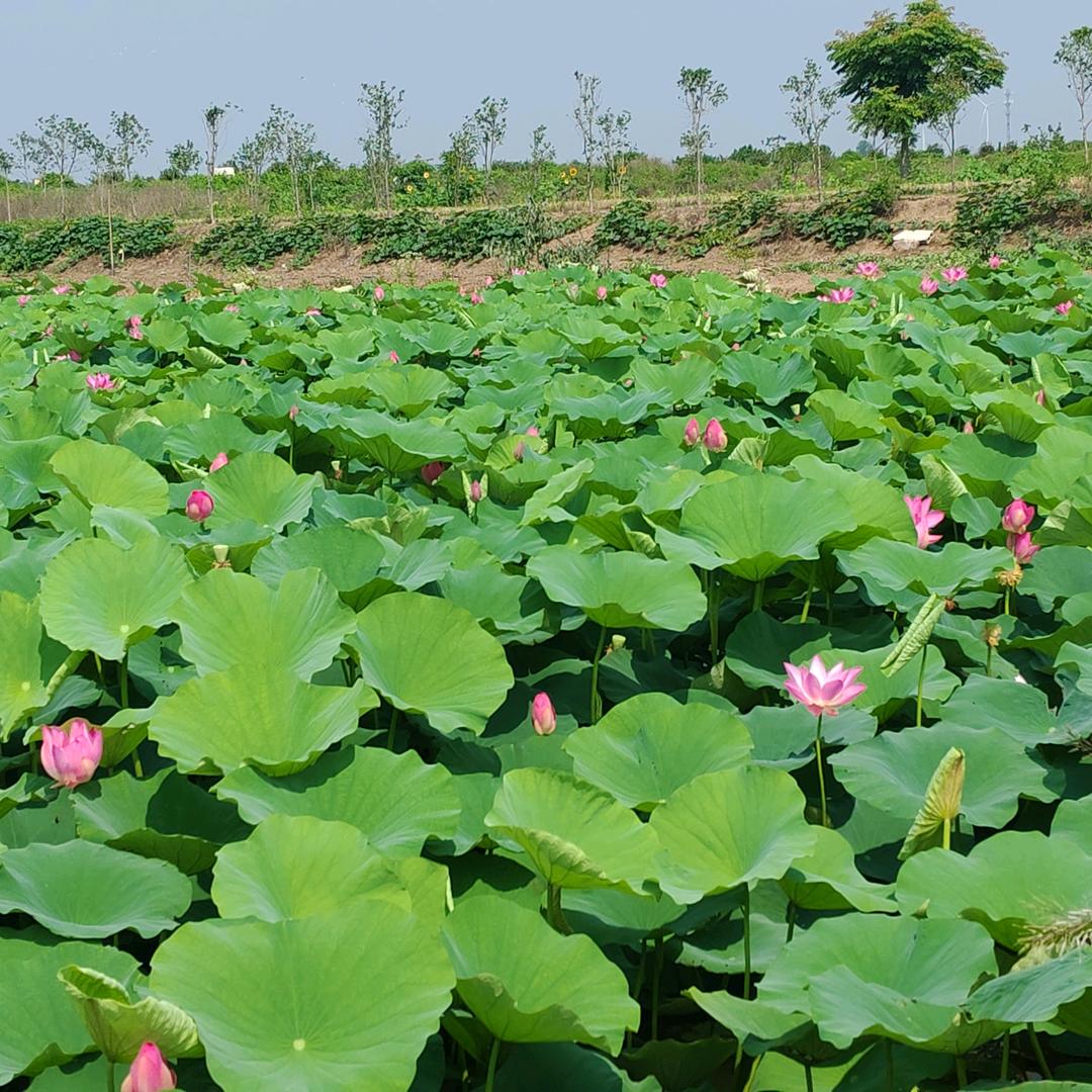 ℳ̶̶̶̶♡̶҉思———不忘初心ℳᥫᩣ