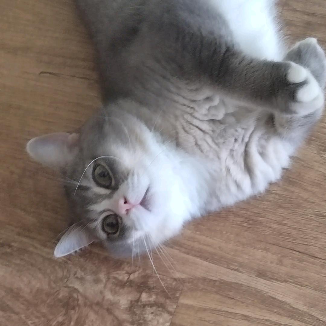 小宜宜