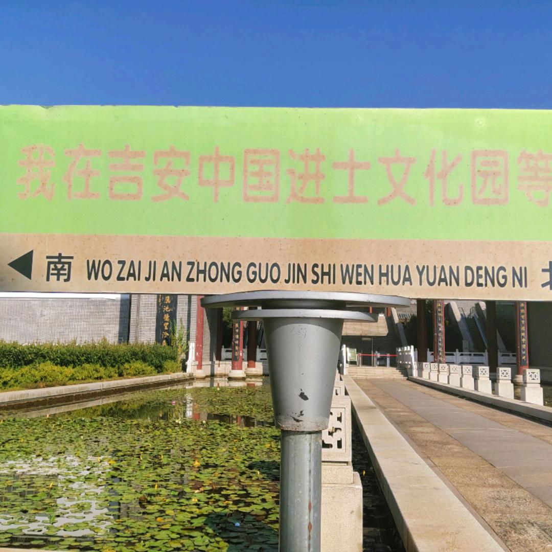 小卢老师