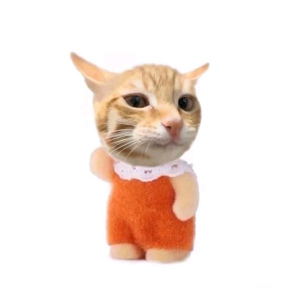 霜*w