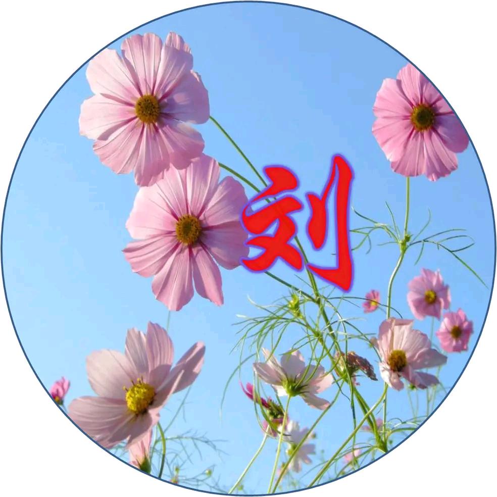 理想花园每天晚上八点半开直播唱歌主播