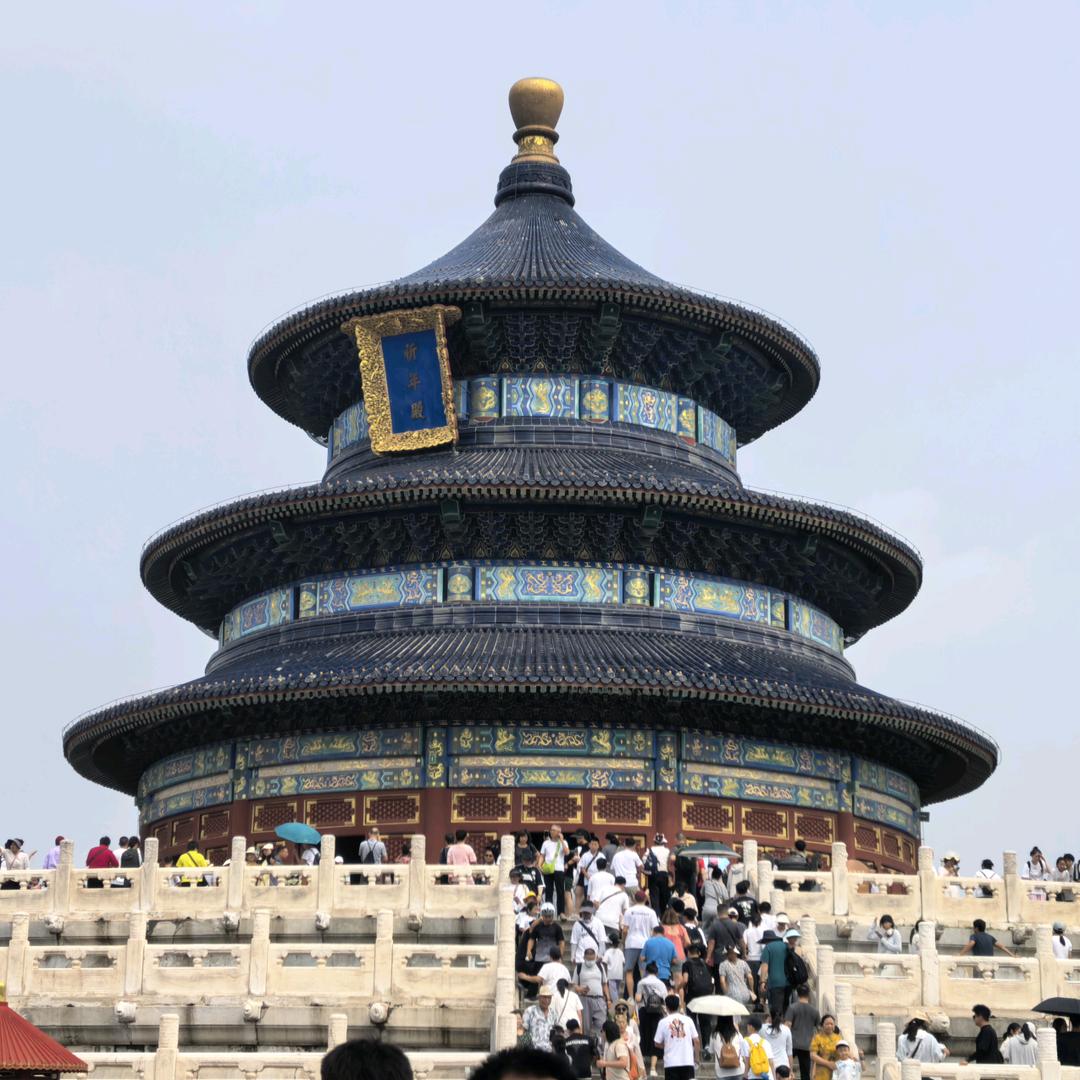 同志😋