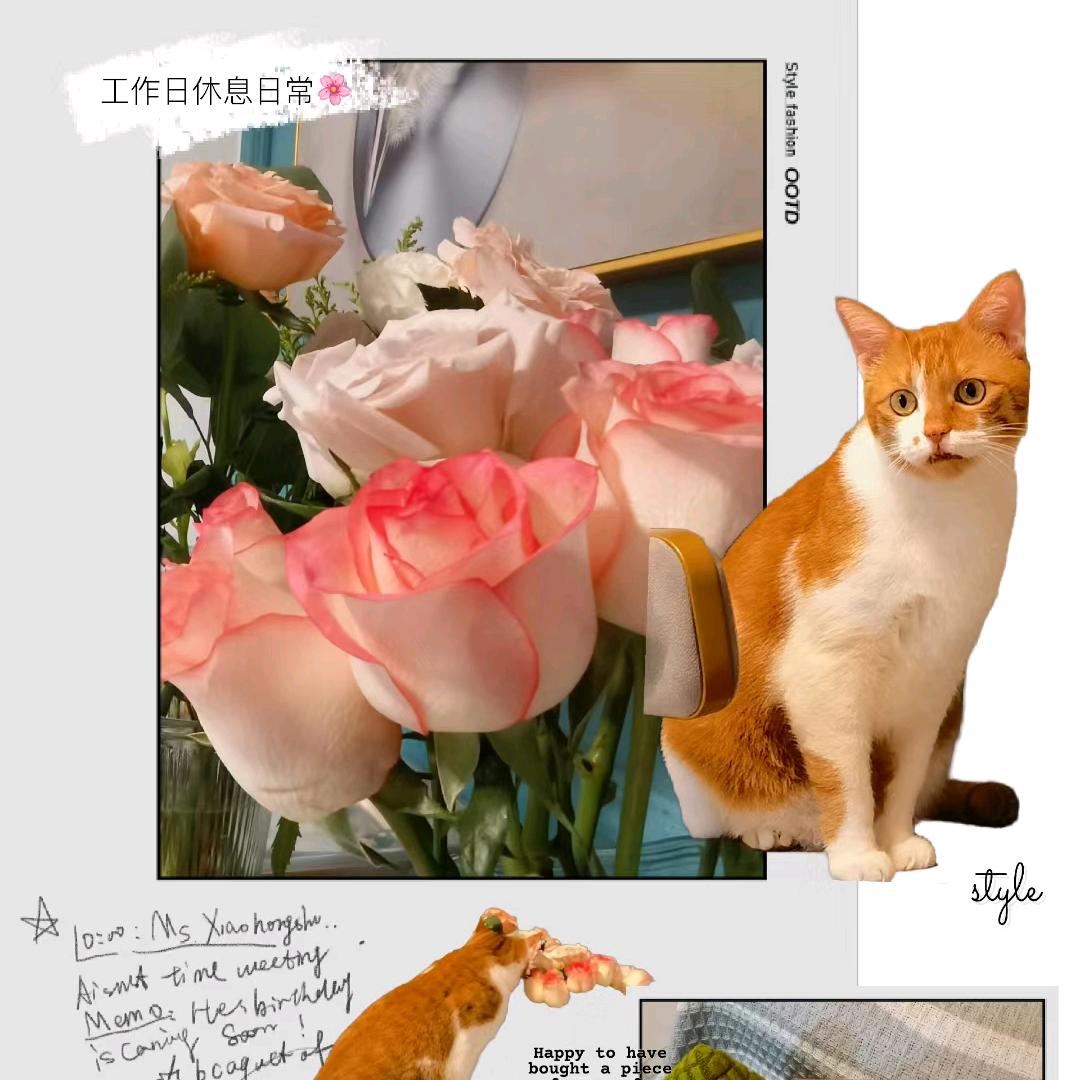 鹅妹是公公