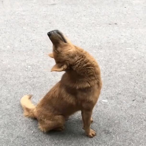 明天见