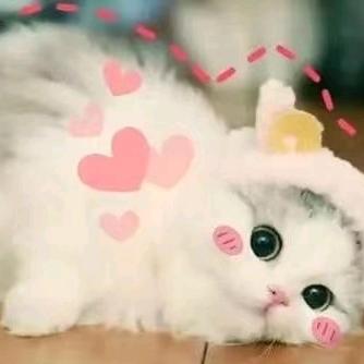 ℒᎭℯ刘⁵²º