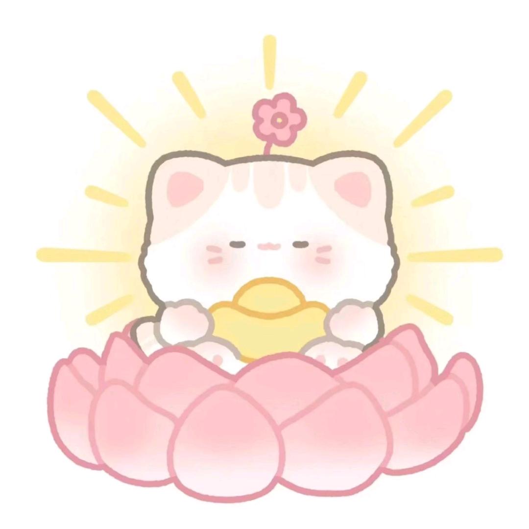 💕好物分享