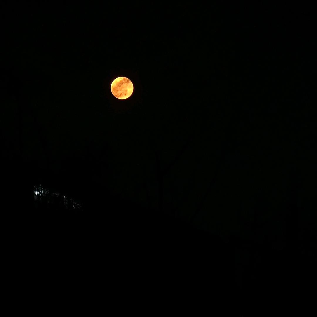 黑不隆冬