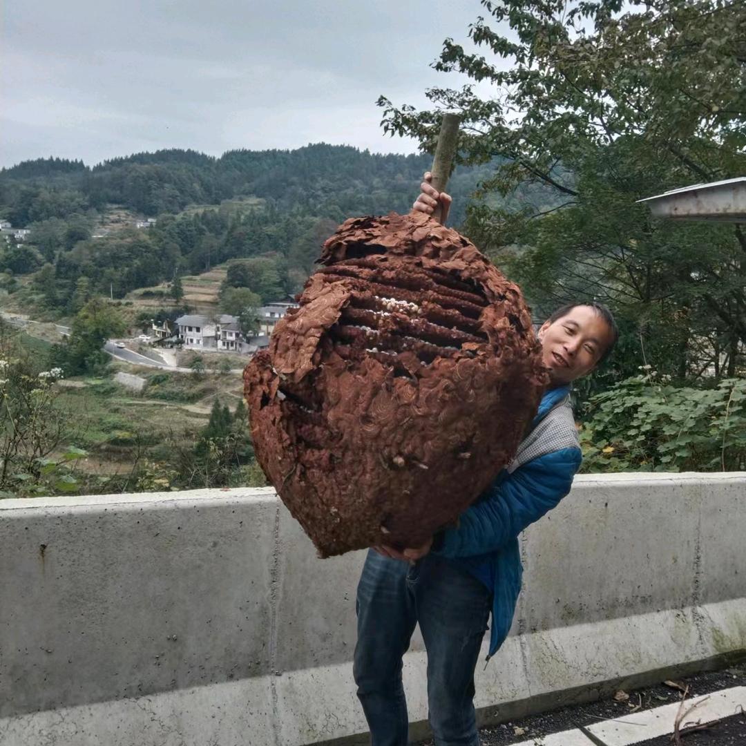 用户3699669236434