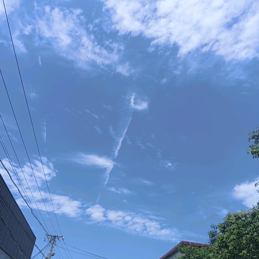 糖宝虽甜但伤脑😭