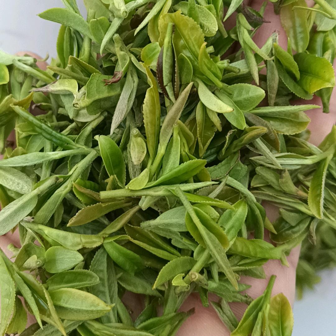 桃林李子元张庆辉