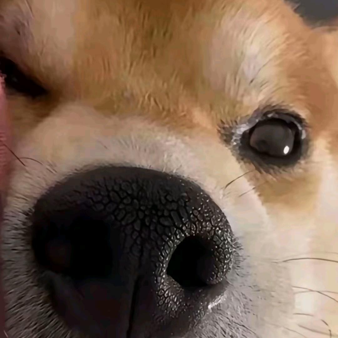 斯文孙