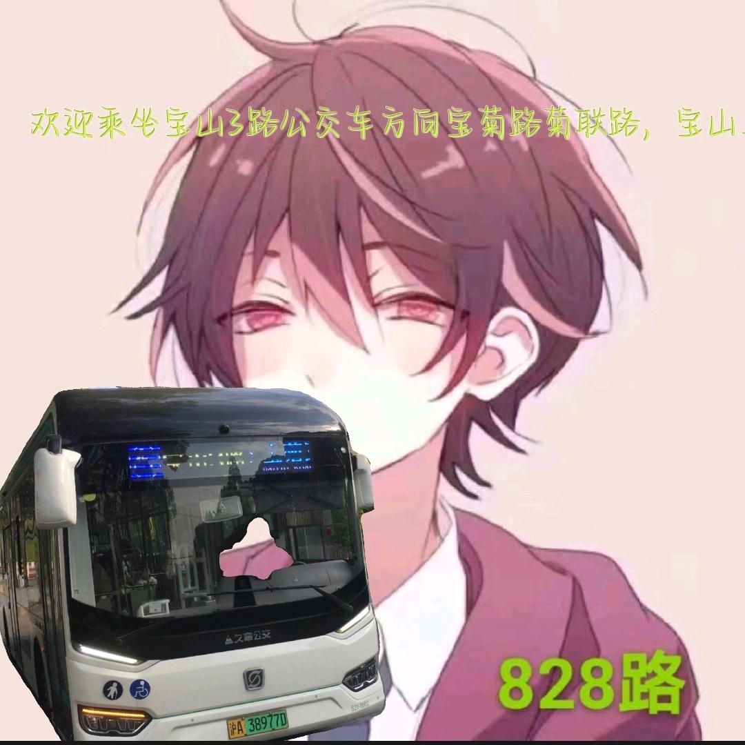宝山3路（临时号）
