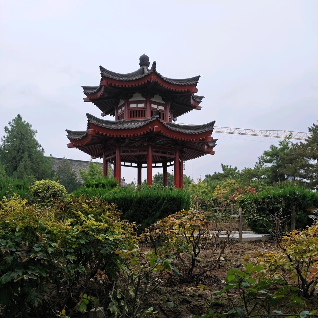 游戏人生