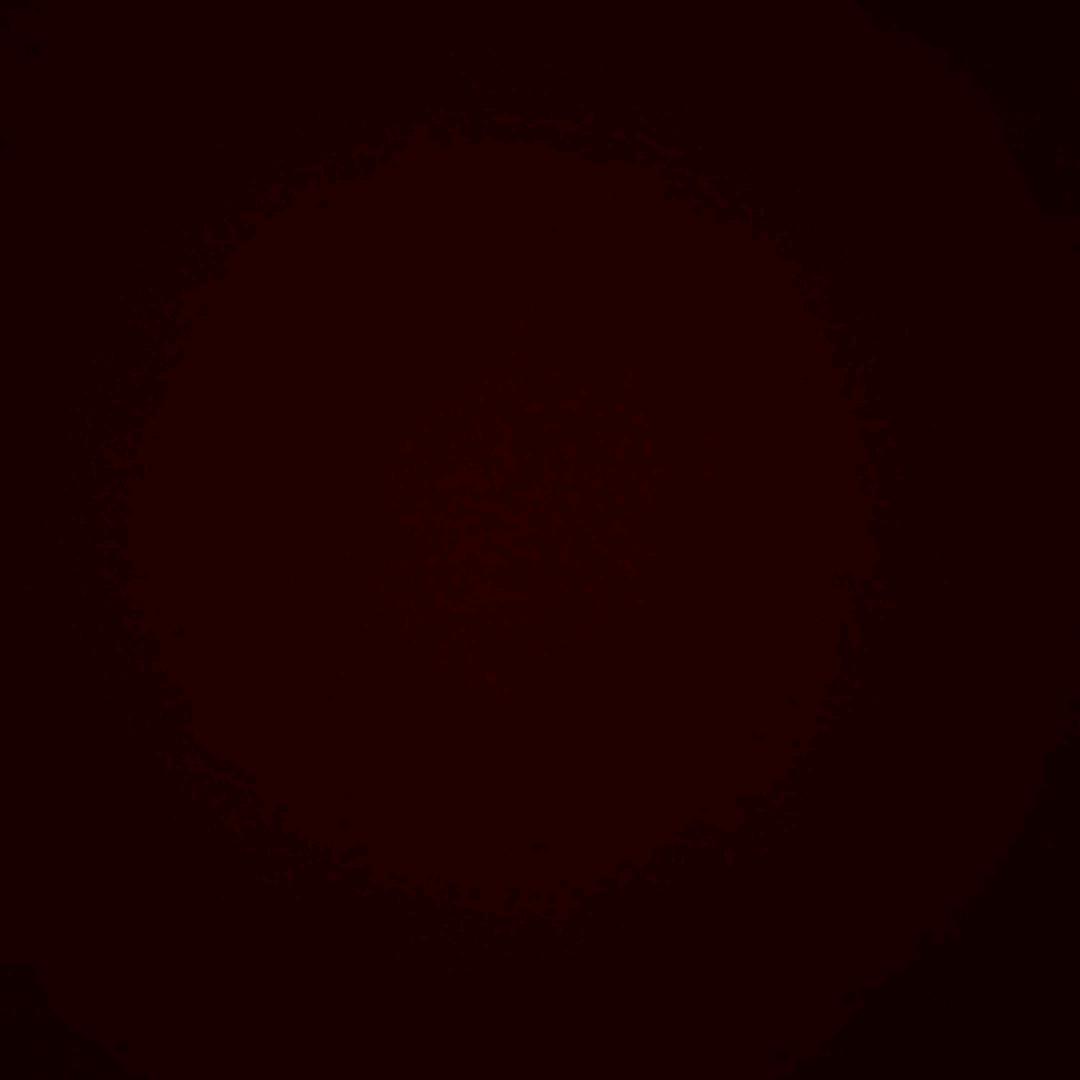 54293336331