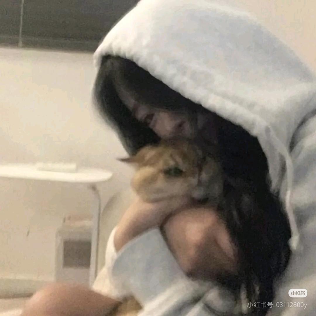 小灰灰是馋猫💤