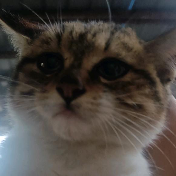 张其兵