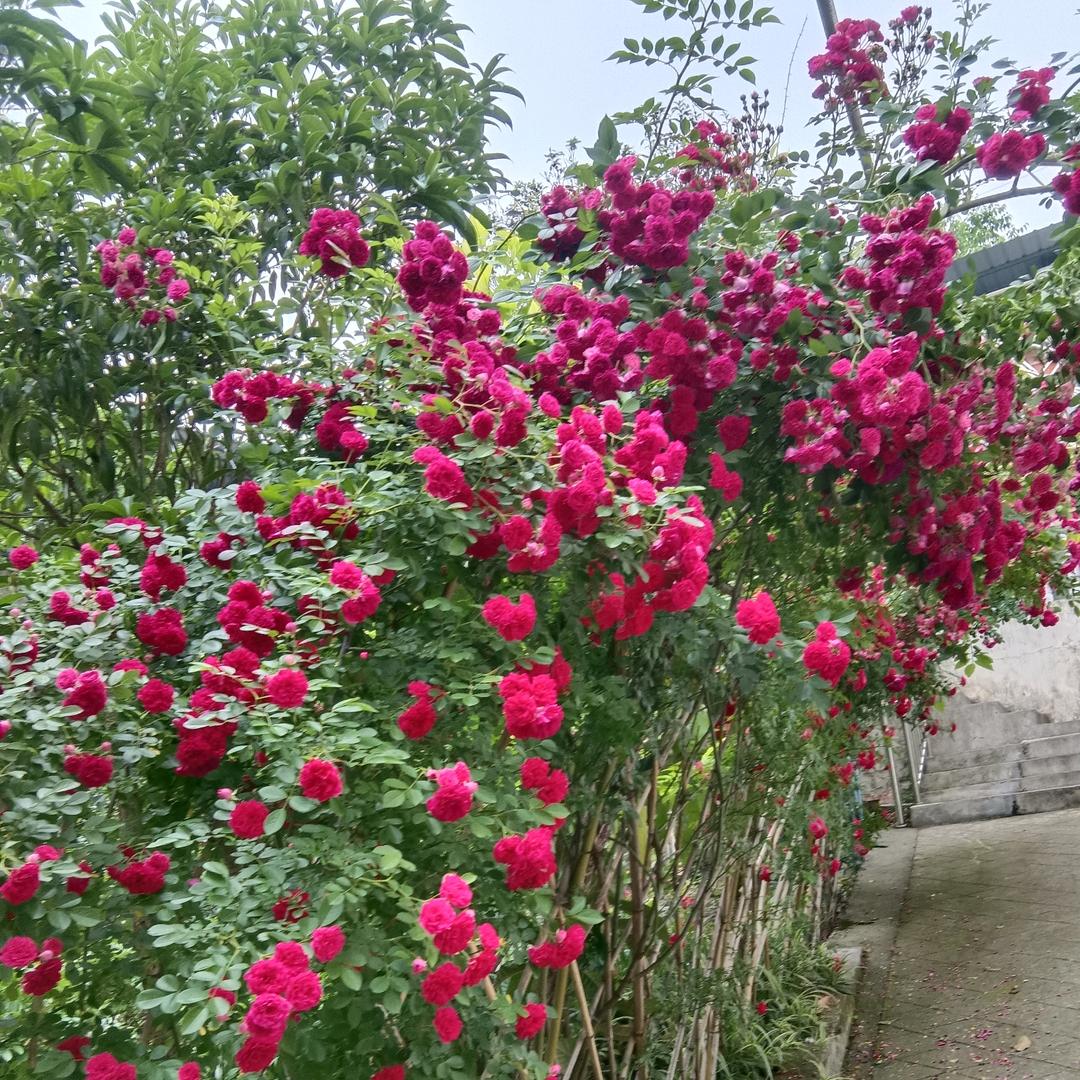 一生有你