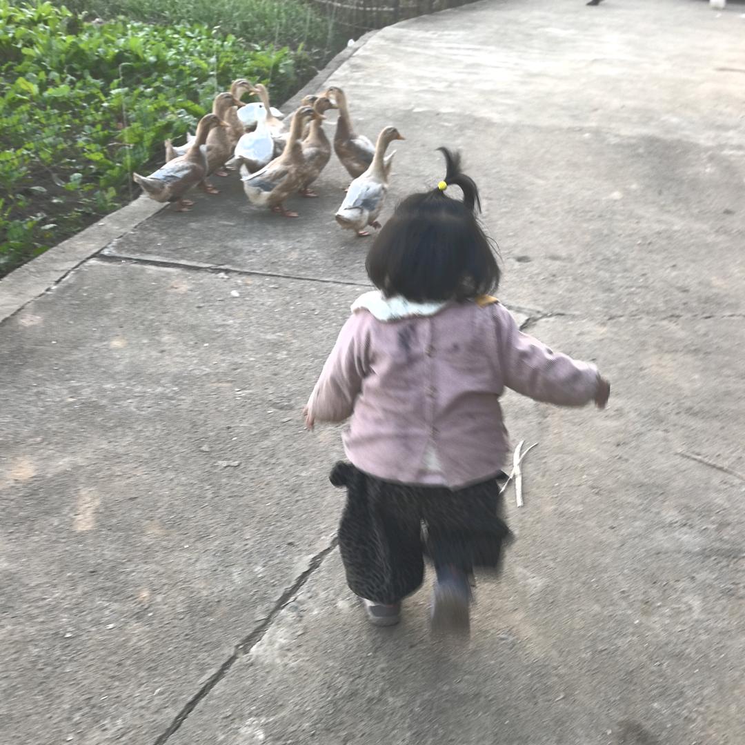 小伊总