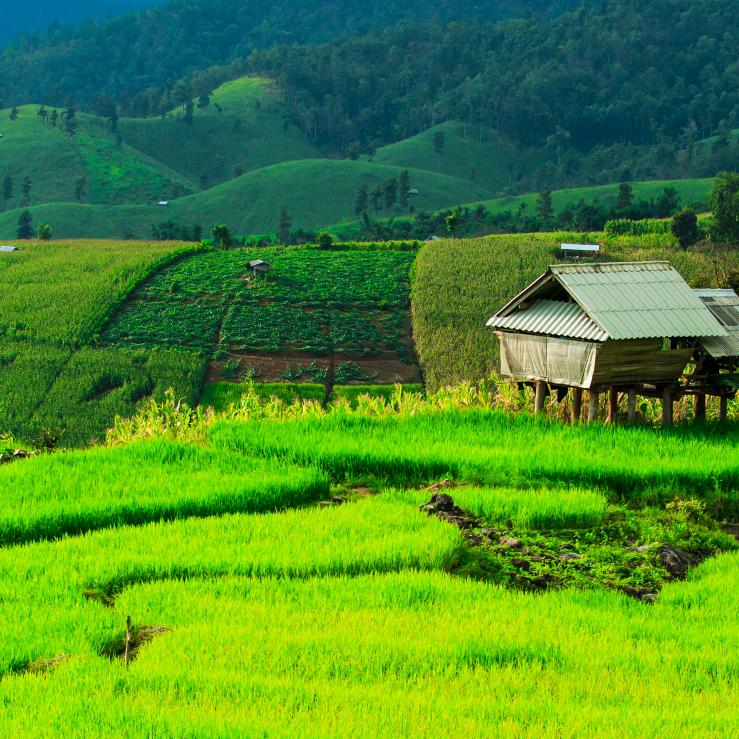 有缘千里来相会