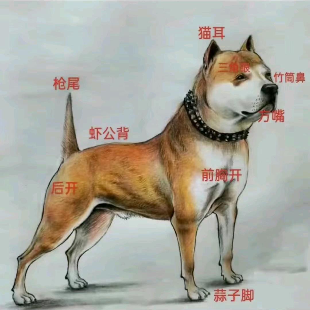 ✔冷月