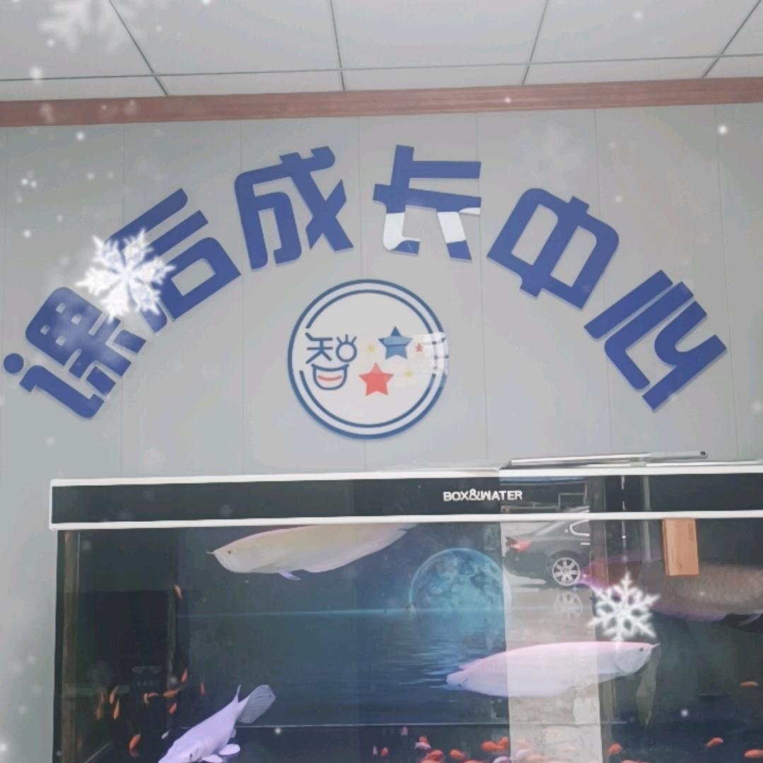 智信课后成长中心。