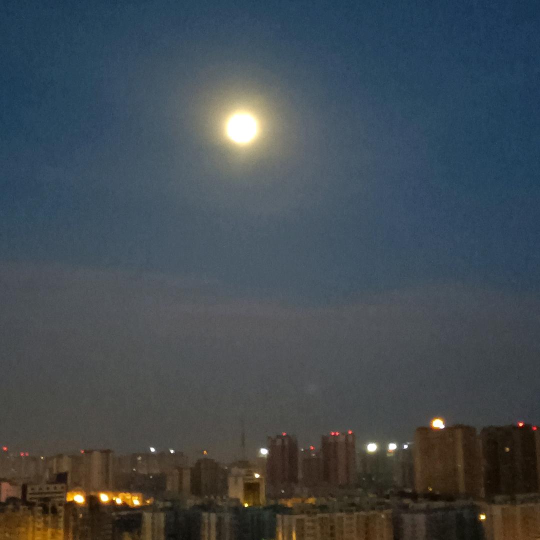 沈金发