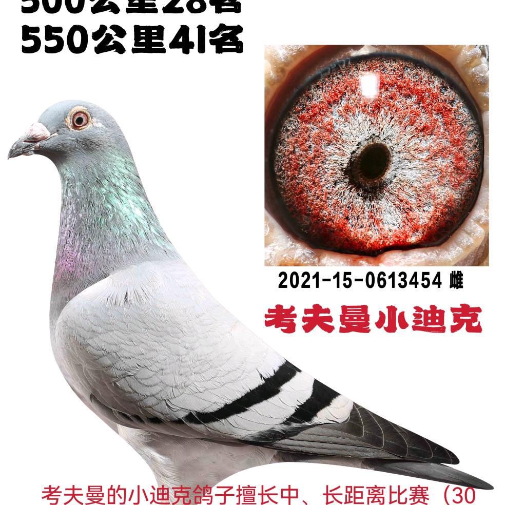 广东专业治理年审尾气问题，回收各种报废车