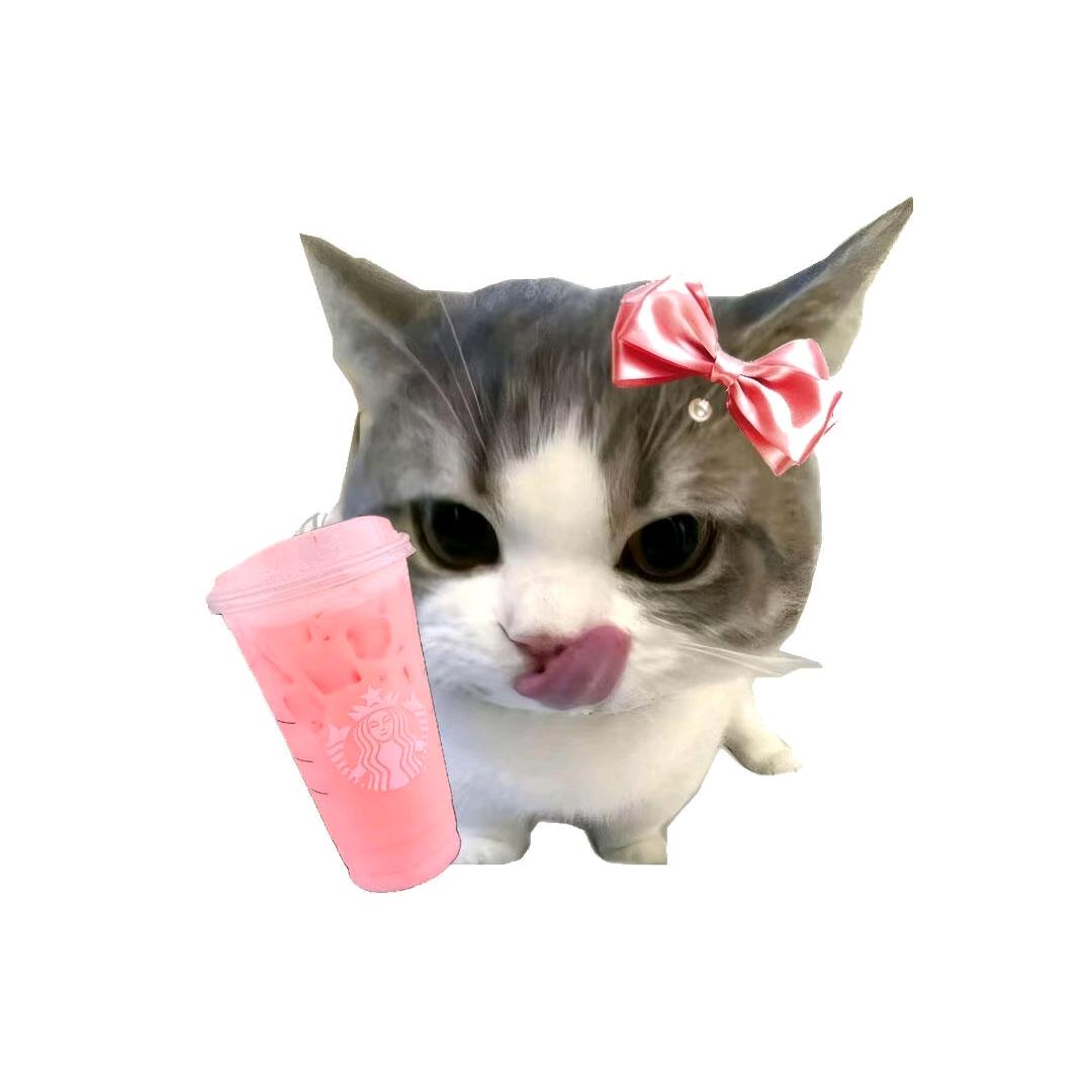 今日负烜